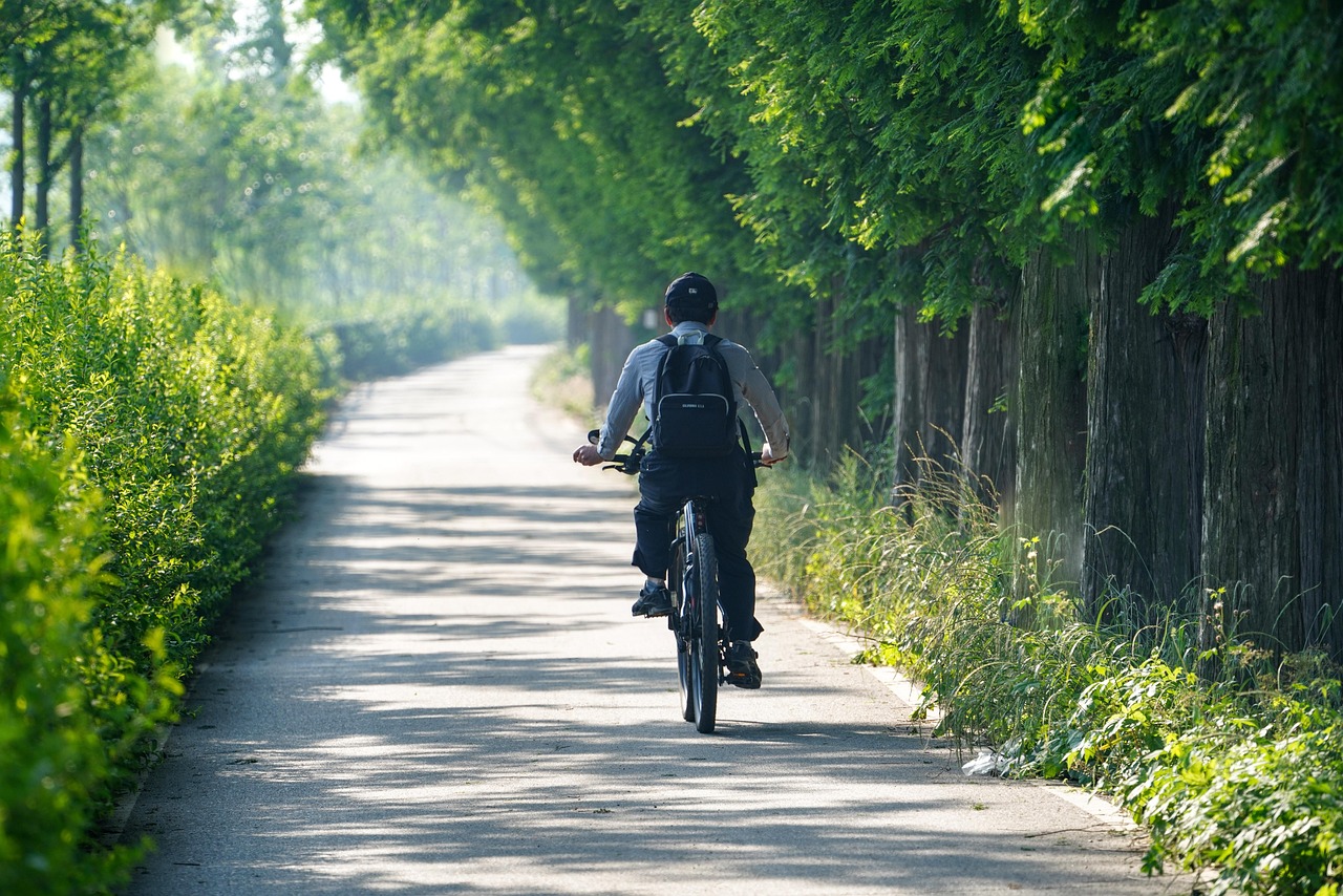 Radfahrer bei einer gesundheitsorientierten Fahrradtour